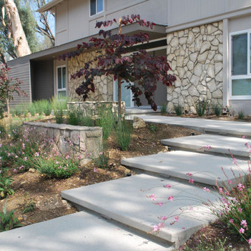 South Pasadena Hillside
