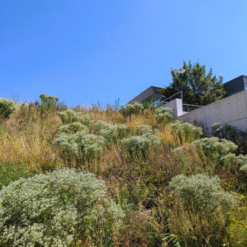 University of Nebraska Medical Center Parking Lot Meadows