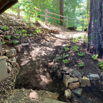 Santa Cruz Mountain Elevation