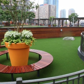 Amenities Roof
