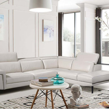1511 Sectional Sofa