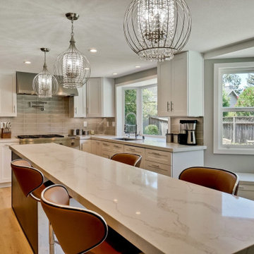 Full Kitchen and Bathroom Remodel-high end