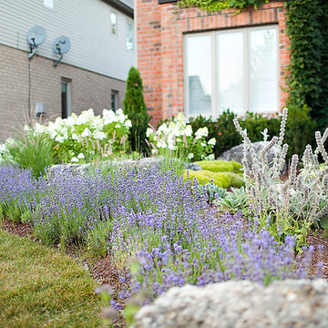 Provence Garden