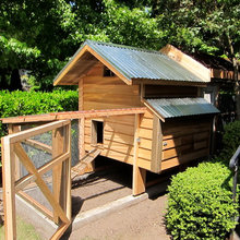 webuser_39449's ideas