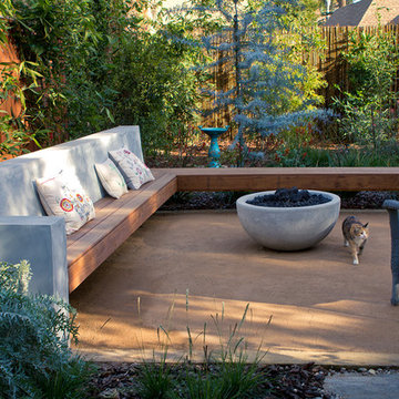 A Natural Refuge in Hollywood - Back Yard