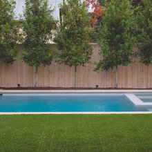 Landscaping/Patio