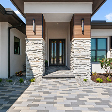 Sand Dollar Model