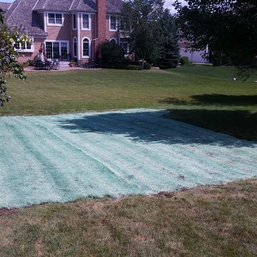 Removal of Backyard Playground, Grading, and Lawn Restoration - After