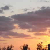 Pauline Loh's photo