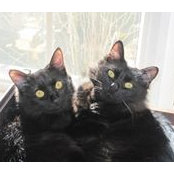 John Hervig's photo