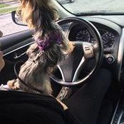 Foto von Heidi Ortiz