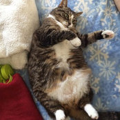 Annette Houle's photo