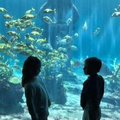 Kimberly Fusca's photo