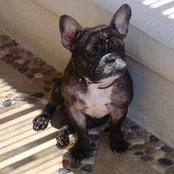 Dalia Allam's photo