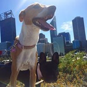 Justin Barnes's photo