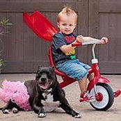 Lisa Marohnic Saldin's photo