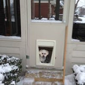Janie Kapperman's photo