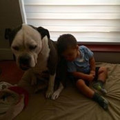 Raul Tome's photo