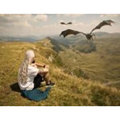 Tudor Popa's photo