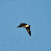simon dryburgh's photo