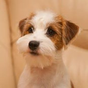 Tatiana Lutsenko's photo