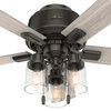 Hunter 44" Hartland Low Profile Ceiling Fan, Noble Bronze, LED and Pull Chain