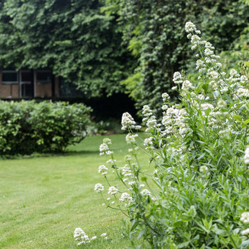 Entretien d'un jardin de campagne