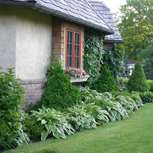 Newport - Garden