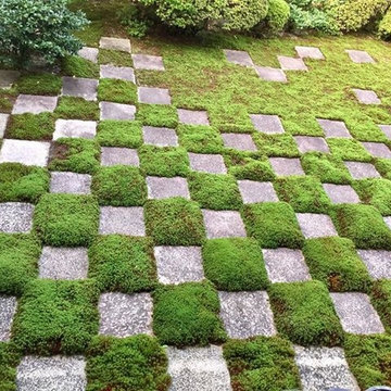 Ideas for a Japanese style garden