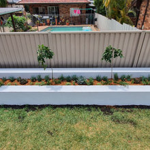 back fence thing