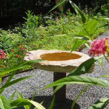 Native Flowers And Birdbath for Side Yard