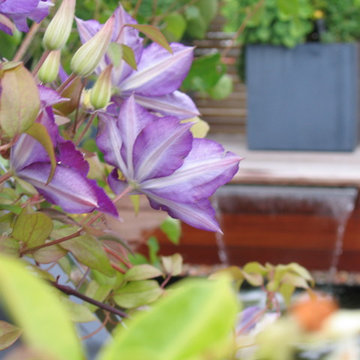 Roof Top Batchelor Pad in Nottinghill, London