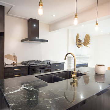 Cameron St. Remodel