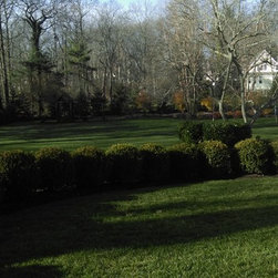 Landscape Design - Products
