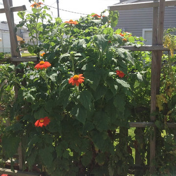 Garden Style