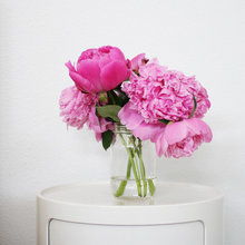 Petals and blossoms