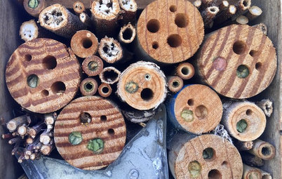 7 Ways to Stop Tidying Up for a Healthier Garden