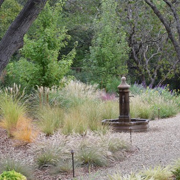 Movement in the landscape: ornamental grasses