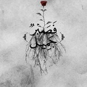 Mony Mahmoud's photo