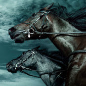 Sean Jenkins's photo