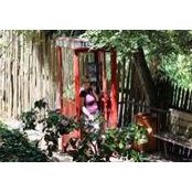 Misty Marsh- Krogel's photo