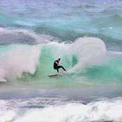 Scott Hammerton's photo