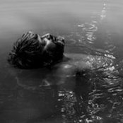 Pramod Reddy's photo