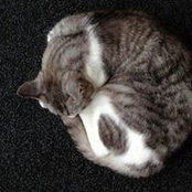 Samsiah Jendol's photo