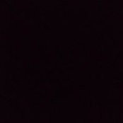 Remah Safe's photo