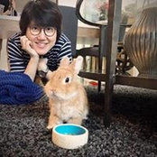 C Tan's photo