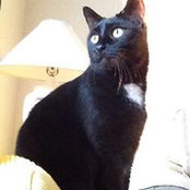 Barbara Buell's photo