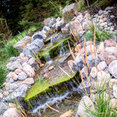 Planterra Landscapes's profile photo