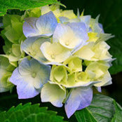 Kim Werth's photo