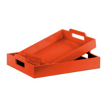 Mail Tray System